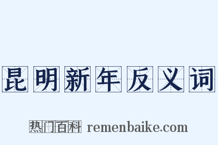 昆明新年反义词是什么意思的图片